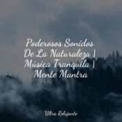 Poderosos Sonidos De La Naturaleza | Música Tranquila | Mente Mantra