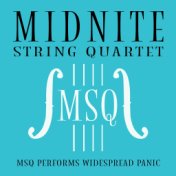 MSQ Performs Widespread Panic