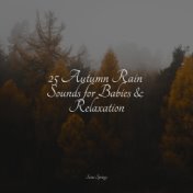 25 Autumn Rain Sounds for Babies & Relaxation