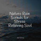 Nature Rain Sounds for Stress Relieving Soul