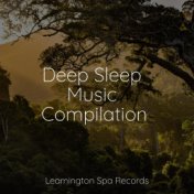 Deep Sleep Music Compilation