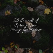 25 Sounds of Spring Rain Songs for Babies