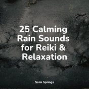 25 Calming Rain Sounds for Reiki & Relaxation