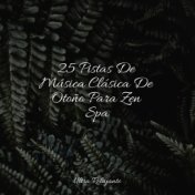 25 Pistas De Música Clásica De Otoño Para Zen Spa