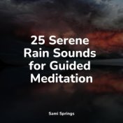 25 Serene Rain Sounds for Guided Meditation
