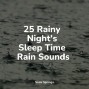 25 Rainy Night's Sleep Time Rain Sounds