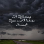 25 Relaxing Rain and Nature Sounds