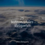 25 Instrumentales Relajantes