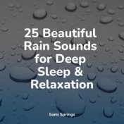 25 Beautiful Rain Sounds for Deep Sleep & Relaxation