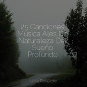 25 Canciones Música Ales De Naturaleza Del Sueño Profundo