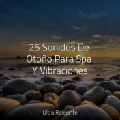 25 Sonidos De Otoño Para Spa Y Vibraciones