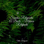 Sonidos Relajantes A Bucle - Música Relajante