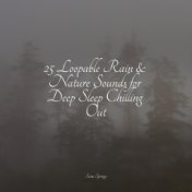 25 Loopable Rain & Nature Sounds for Deep Sleep Chilling Out