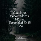 Canciones Encantadoras | Máxima Serenidad En El Spa