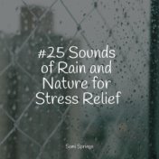 #25 Sounds of Rain and Nature for Stress Relief