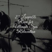 25 Loopable Rain for Ultimate Spa Relaxation