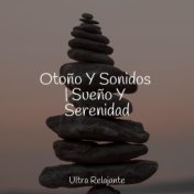 Otoño Y Sonidos | Sueño Y Serenidad