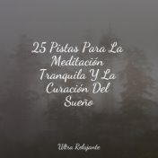 25 Pistas Para La Meditación Tranquila Y La Curación Del Sueño