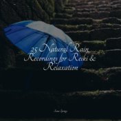 25 Natural Rain Recordings for Reiki & Relaxation