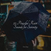 25 Peaceful Rain Sounds for Serenity