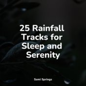 25 Rainfall Tracks for Sleep and Serenity