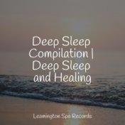 Deep Sleep Compilation | Deep Sleep and Healing