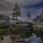 Sonidos De La Música Sueño Profundo