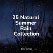 25 Natural Summer Rain Collection