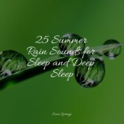 25 Summer Rain Sounds for Sleep and Deep Sleep