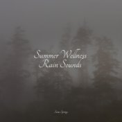 Summer Wellness Rain Sounds