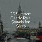 25 Summer: Gentle Rain Sounds for Sleep