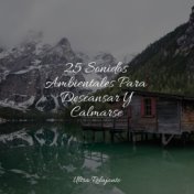 25 Sonidos Ambientales Para Descansar Y Calmarse