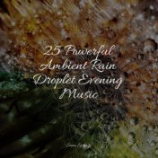 25 Powerful Ambient Rain Droplet Evening Music