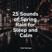 25 Sounds of Spring Rain for Sleep and Calm