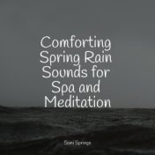 Comforting Spring Rain Sounds for Spa and Meditation