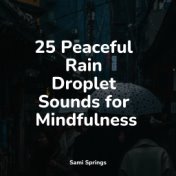 25 Peaceful Rain Droplet Sounds for Mindfulness