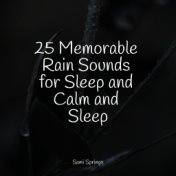 25 Memorable Rain Sounds for Sleep and Calm and Sleep