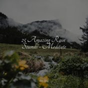 25 Amazing Rain Sounds - Meditate