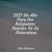 2021 Un Año Para Los Relajantes Sonidos De La Naturaleza