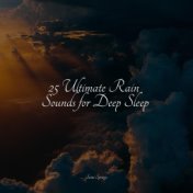 25 Ultimate Rain Sounds for Deep Sleep