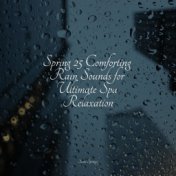 Spring 25 Comforting Rain Sounds for Ultimate Spa Relaxation