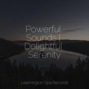 Powerful Sounds | Delightful Serenity