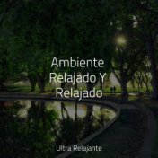 Ambiente Relajado Y Relajado