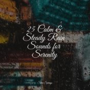 25 Calm & Steady Rain Sounds for Serenity