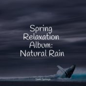 Spring Relaxation Album: Natural Rain