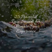 25 Powerful Rain Sounds for Ultimate Spa Experience