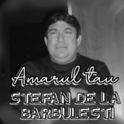 Stefan De La Barbulesti