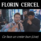 Ce face un creier bun (Live)