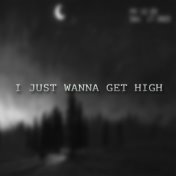 I Just Wanna Get High