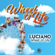 Wheel Of Life